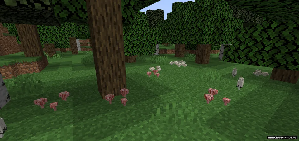 Fungology — Minecraft mod, rasm 2