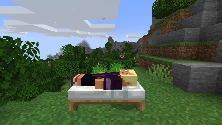 SleepCycle — Minecraft mod, rasm 2