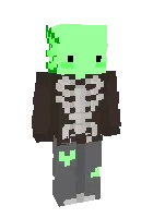 Tergovchi baqa — Minecraft skin, rasm 1