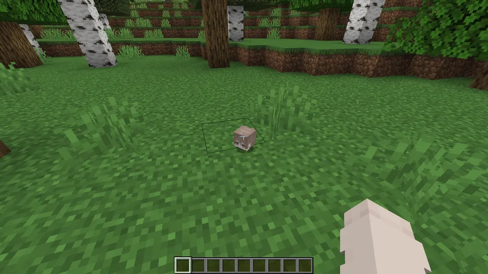 Drop Head — Minecraft mod, rasm 4