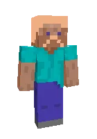 Kal qo'ng'iz va Steve ham shunday — Minecraft skin, rasm 1