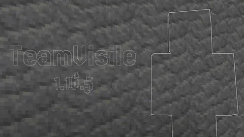 TeamVisile