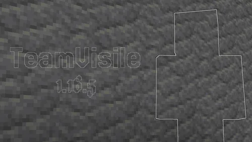 TeamVisile — Minecraft mod, rasm 1