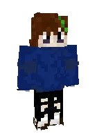 Dlesha — Minecraft skin, rasm 1