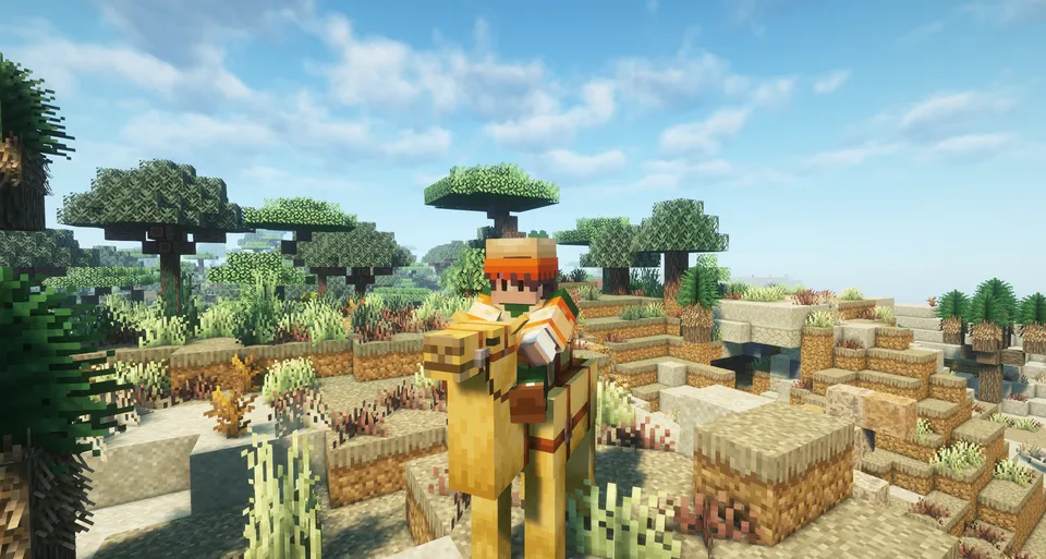 Lucky's Wardrobe — Minecraft mod, rasm 2