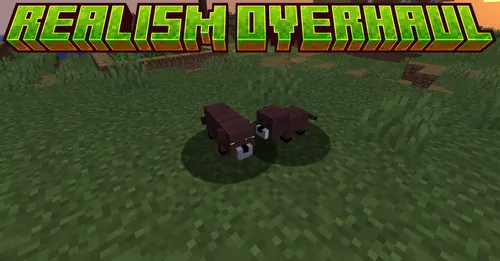Realism Overhaul — Minecraft mod, rasm 1