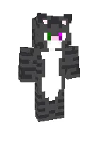 Kulrang mushuk — Minecraft skin, rasm 1