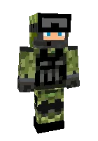 Harbiy SDF — Minecraft skin, rasm 1