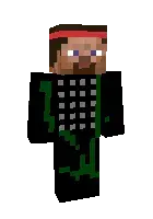 Patropini ninja