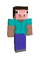 Piggybag