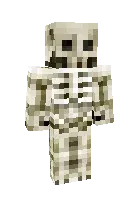 Skelet