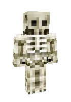 Skelet — Minecraft skin, rasm 1