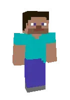 Steve.new