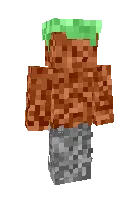 Yer — Minecraft skin, rasm 1