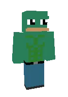 Kachok baqa — Minecraft skin, rasm 1