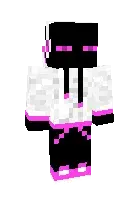 Pushti Enderman