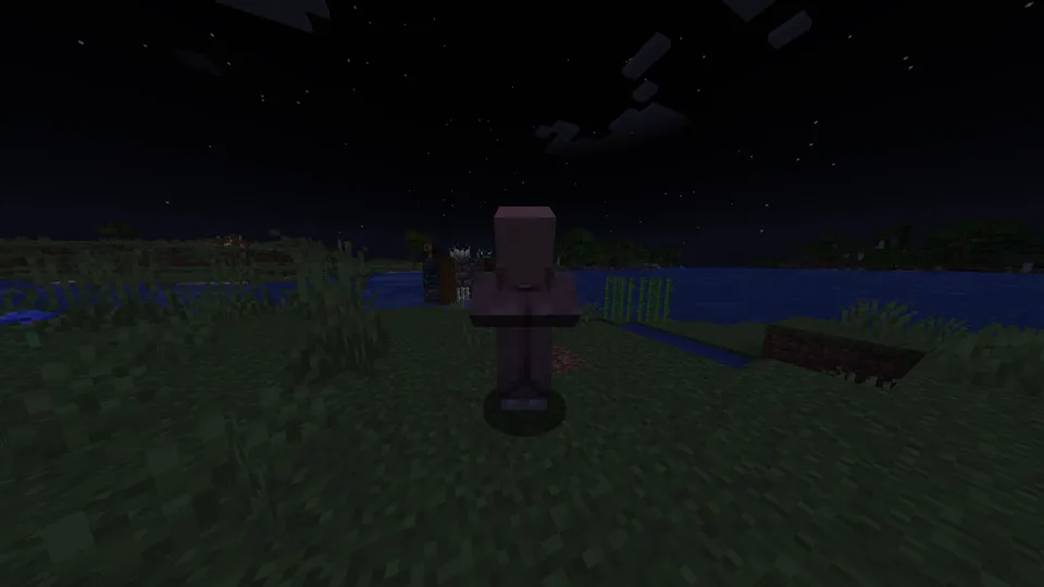 The Faceless Villager — Minecraft mod, rasm 2