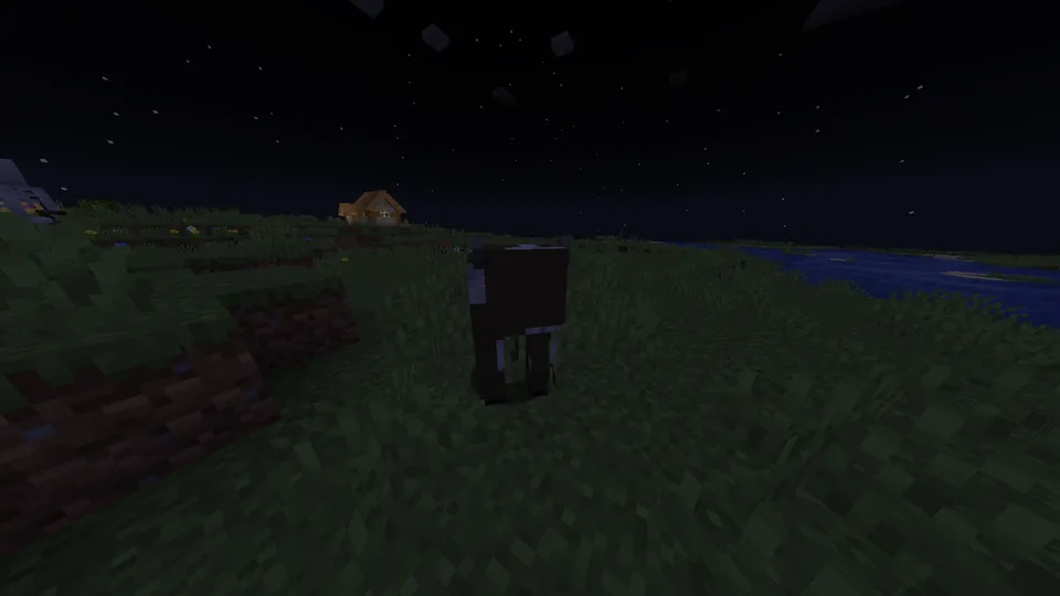 The Faceless Villager — Minecraft mod, rasm 3