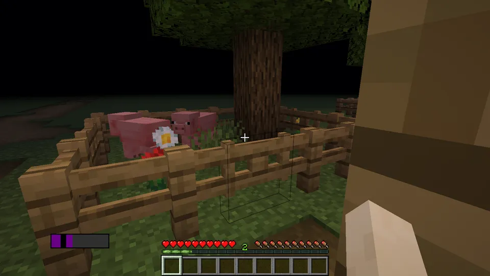 Shadow Of The Light — Minecraft mod, rasm 3