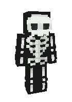 Skelet