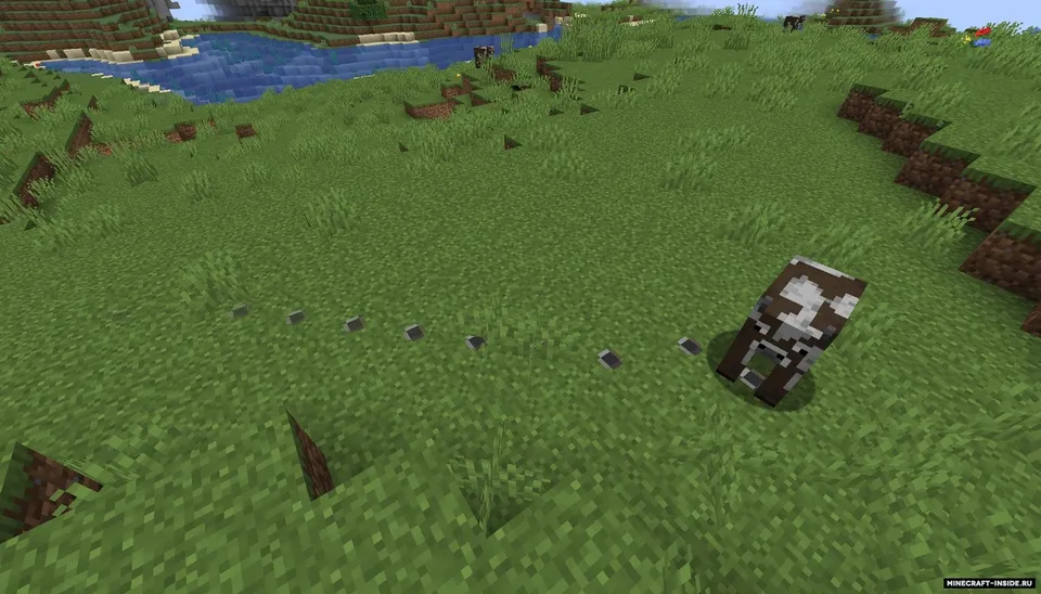 FootprintParticle — Minecraft mod, rasm 2