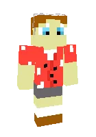 Woody on vacation — Minecraft skin, rasm 1