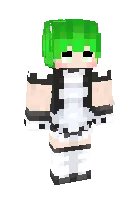 13 kartadan Varu — Minecraft skin, rasm 1