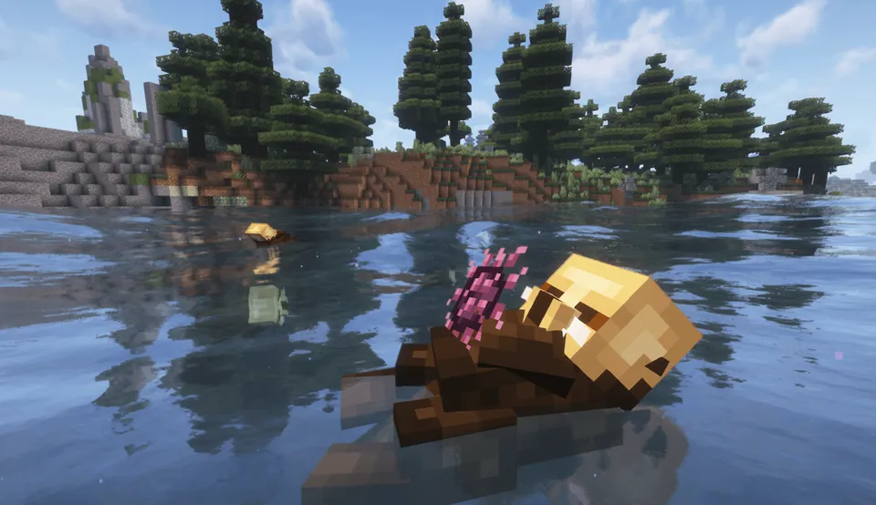 Wonderous Sea — Minecraft mod, rasm 2
