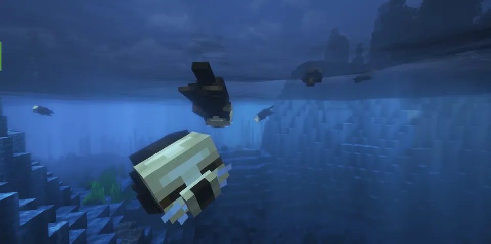 Wonderous Sea — Minecraft mod, rasm 3