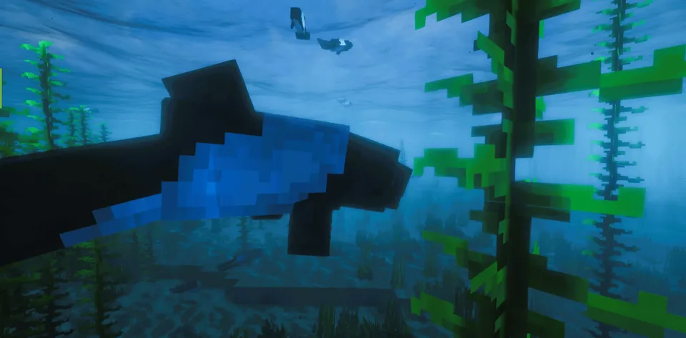 Wonderous Sea — Minecraft mod, rasm 7
