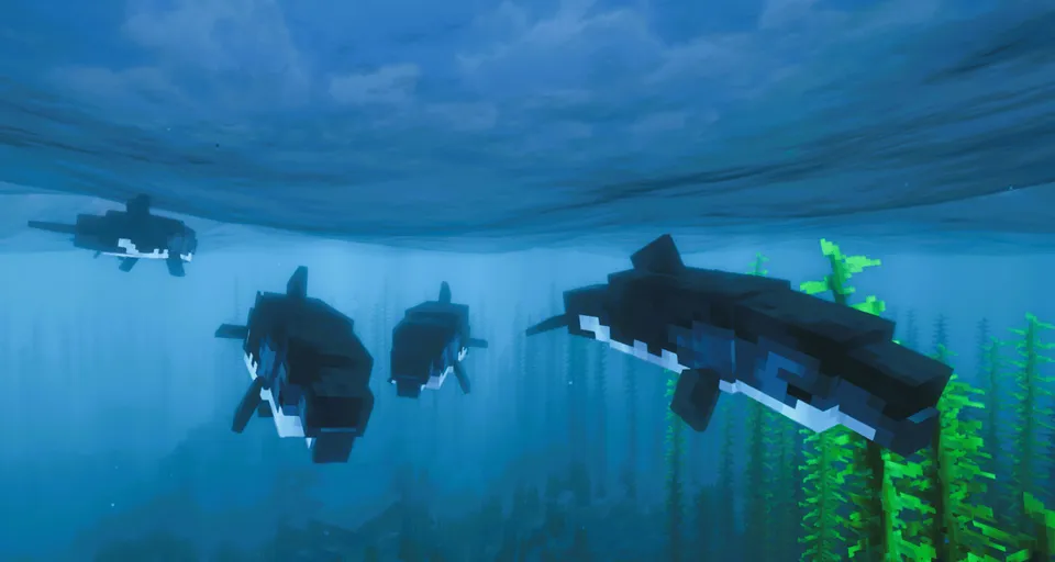 Wonderous Sea — Minecraft mod, rasm 8