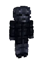 ShadowWarden