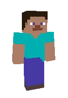 Bir rangli Steve — Minecraft skin, rasm 1