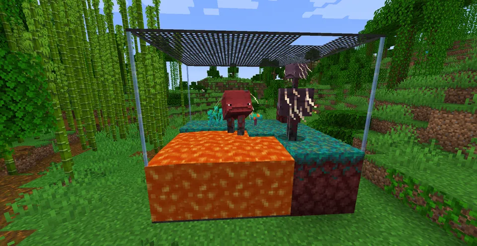 Terrariums And Cages — Minecraft mod, rasm 3