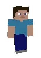 Steve 2.0