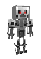 Skeleton robot