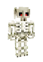 Skeleton