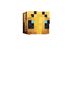 Kichkina uchuvchi ari — Minecraft skin, rasm 1