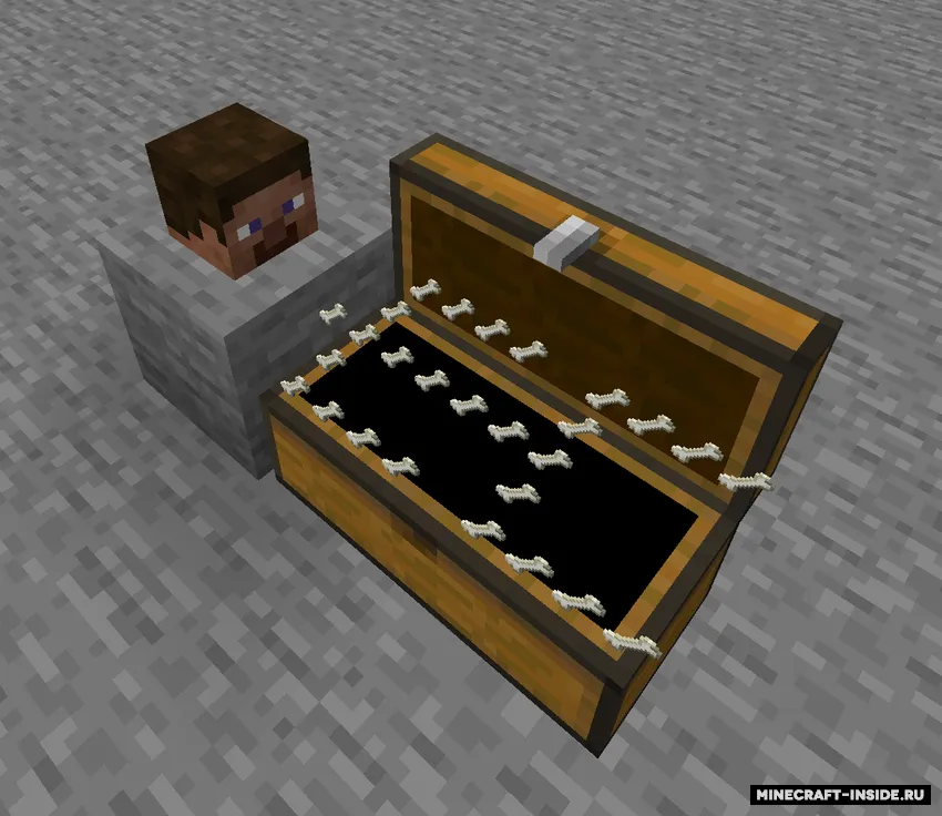 No Gui Chest (NGC) — Minecraft mod, rasm 2
