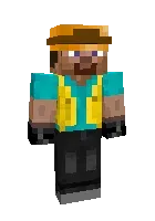 Steve the builder