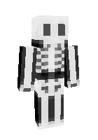 Skeleton