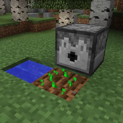 Quark — Minecraft mod, rasm 3