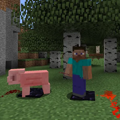 Quark — Minecraft mod, rasm 4