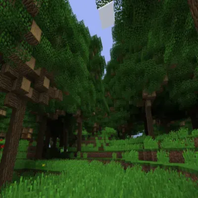 Dense Forest Biome