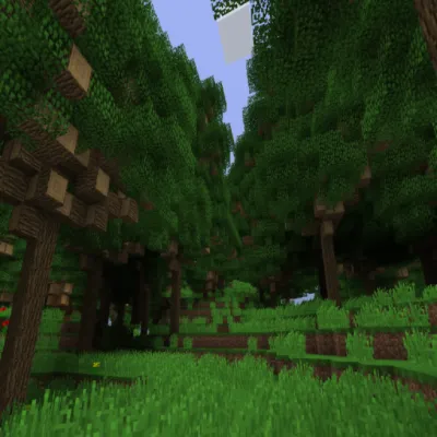Dense Forest Biome — Minecraft mod, rasm 1
