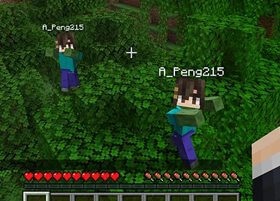 ZombPlayer — Minecraft mod, rasm 2
