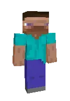 Steve nima