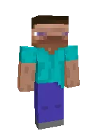 Steve nima — Minecraft skin, rasm 1