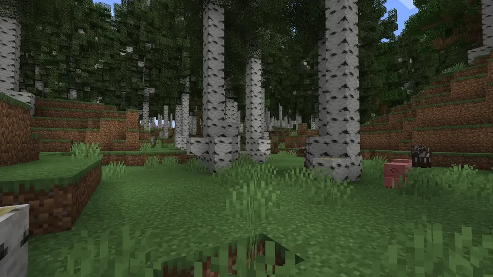 Better Forests — Minecraft mod, rasm 7