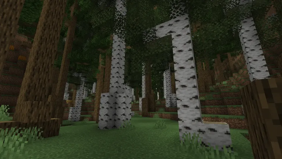 Better Forests — Minecraft mod, rasm 8